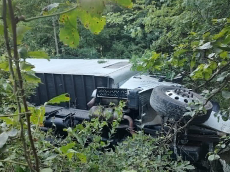 Woodland Heavy recovery